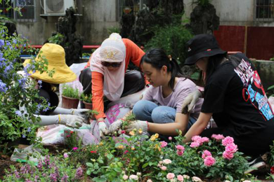 首个共建社区花园建成，，从化引发社会实力助力墟落振兴