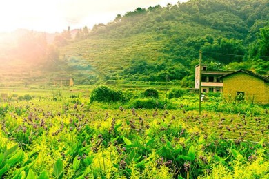 从化仙娘溪村幸福书屋完工 教育+文化助力墟落振兴