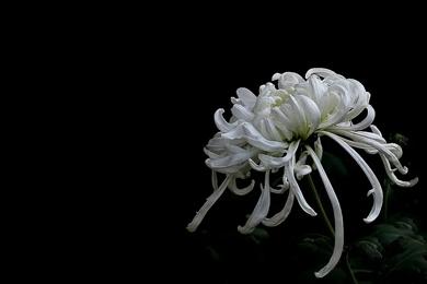 讣告｜沉痛吊祭贺惠芳女士！