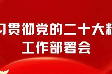 集团旗下emc易倍体育职业手艺学院召开学习贯彻党的二十大精神事情安排会