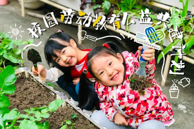 喜报 | emc易倍体育基金会“广州都会小菜园工程食农盒子项目”入选联合国粮食系统转型实践案例库